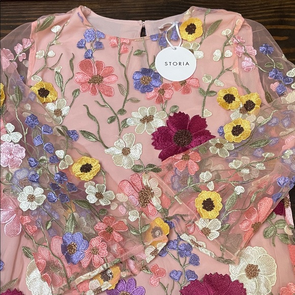 Storia Sheer Dress with Full Length Liner and Floral Embroidery - Picture 13 of 13